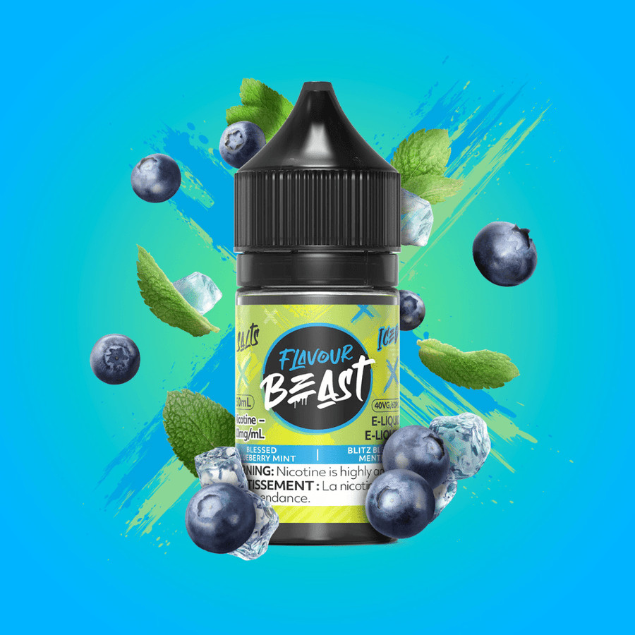 Blessed Blueberry Mint Salts by Flavour Beast E-Liquid 30ml / 20mg Winkler Vape SuperStore and Bong Shop Manitoba Canada