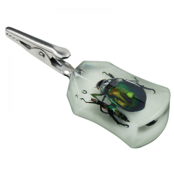 Glow-in-the-Dark Stand-Up Chafer Clip Emerald Rounded Clip Winkler Vape SuperStore and Bong Shop Manitoba Canada