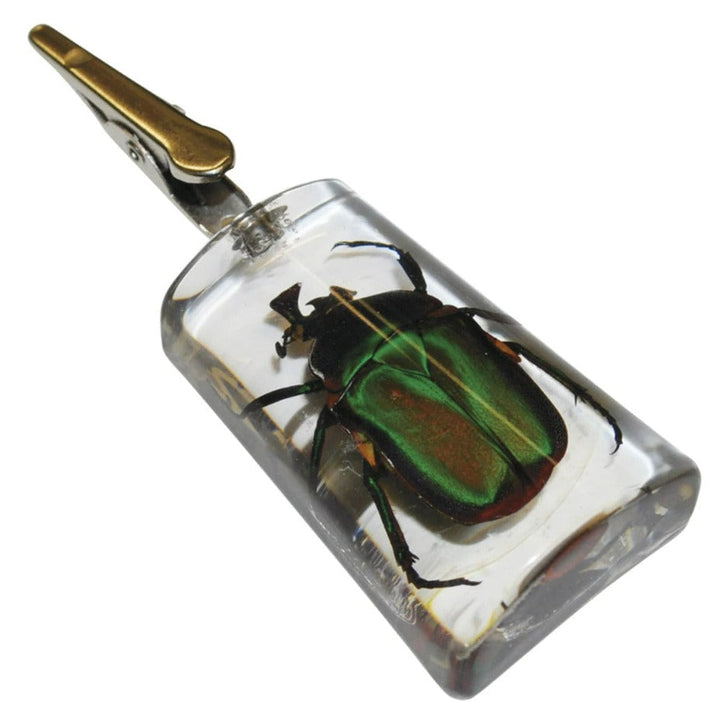 Glow-in-the-Dark Stand-Up Chafer Clip Emerald Stand-up Clip Winkler Vape SuperStore and Bong Shop Manitoba Canada